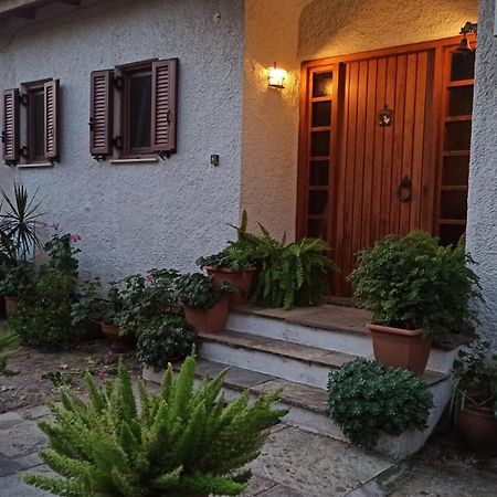Nafpaktos Cottage By The Sea For Travelers And Dreamers! Eksteriør billede