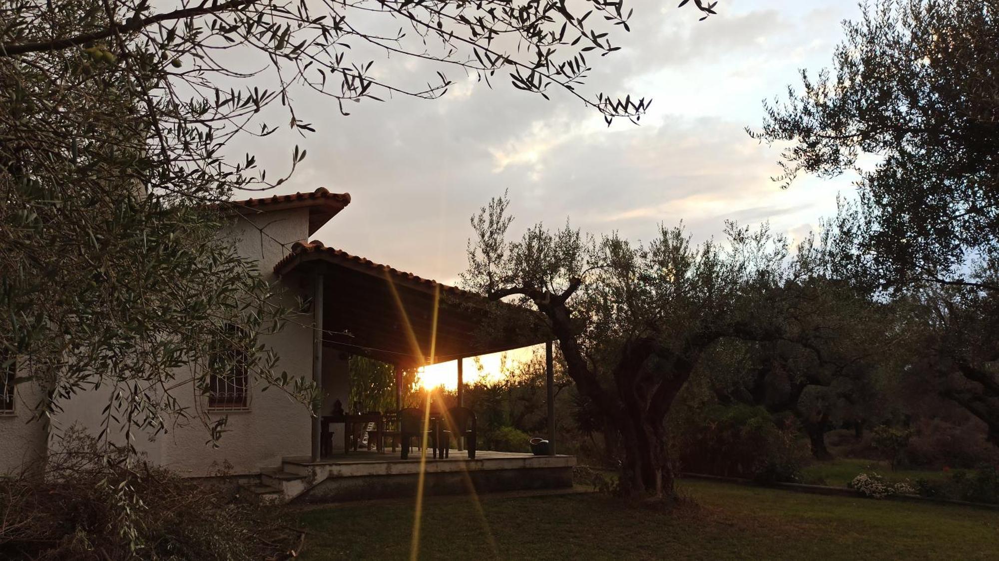 Nafpaktos Cottage By The Sea For Travelers And Dreamers! Eksteriør billede
