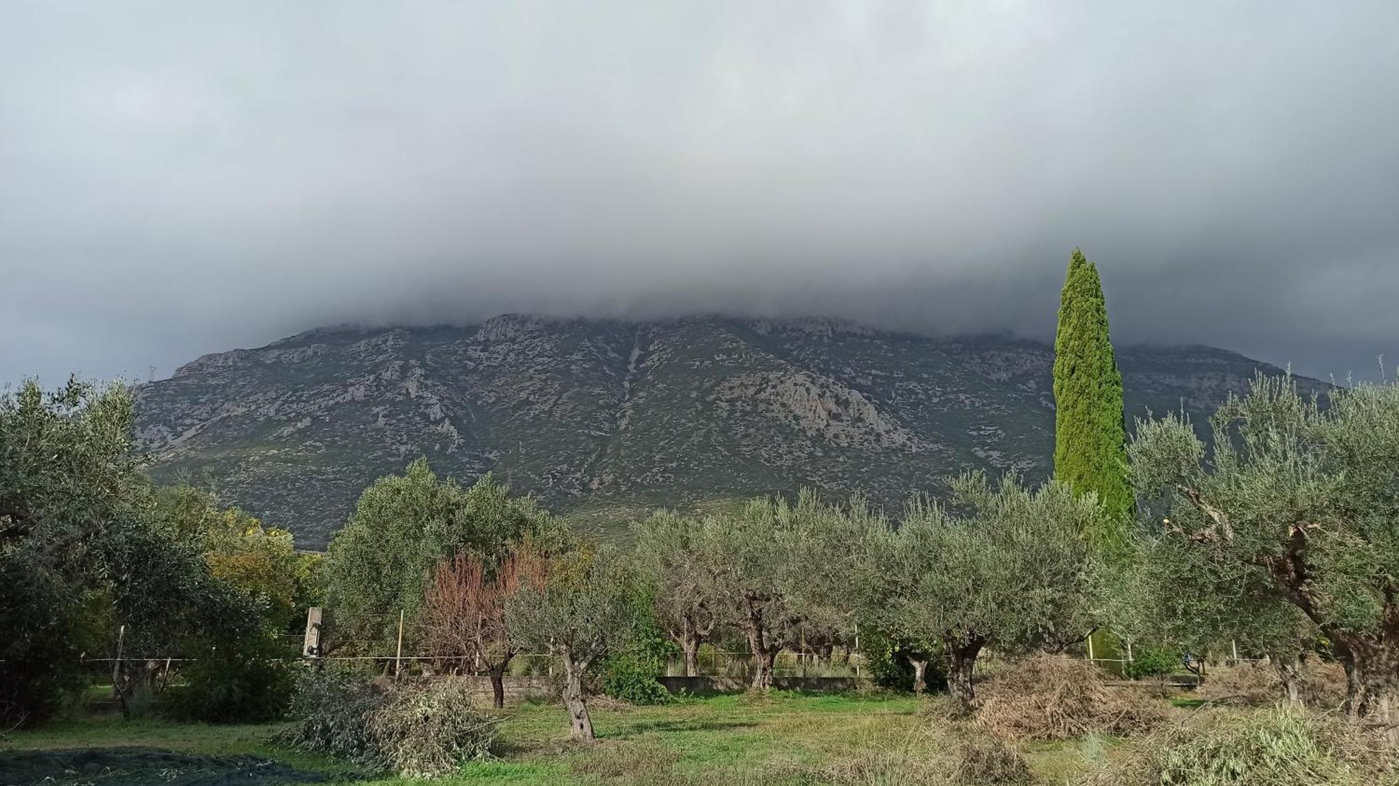 Nafpaktos Cottage By The Sea For Travelers And Dreamers! Eksteriør billede