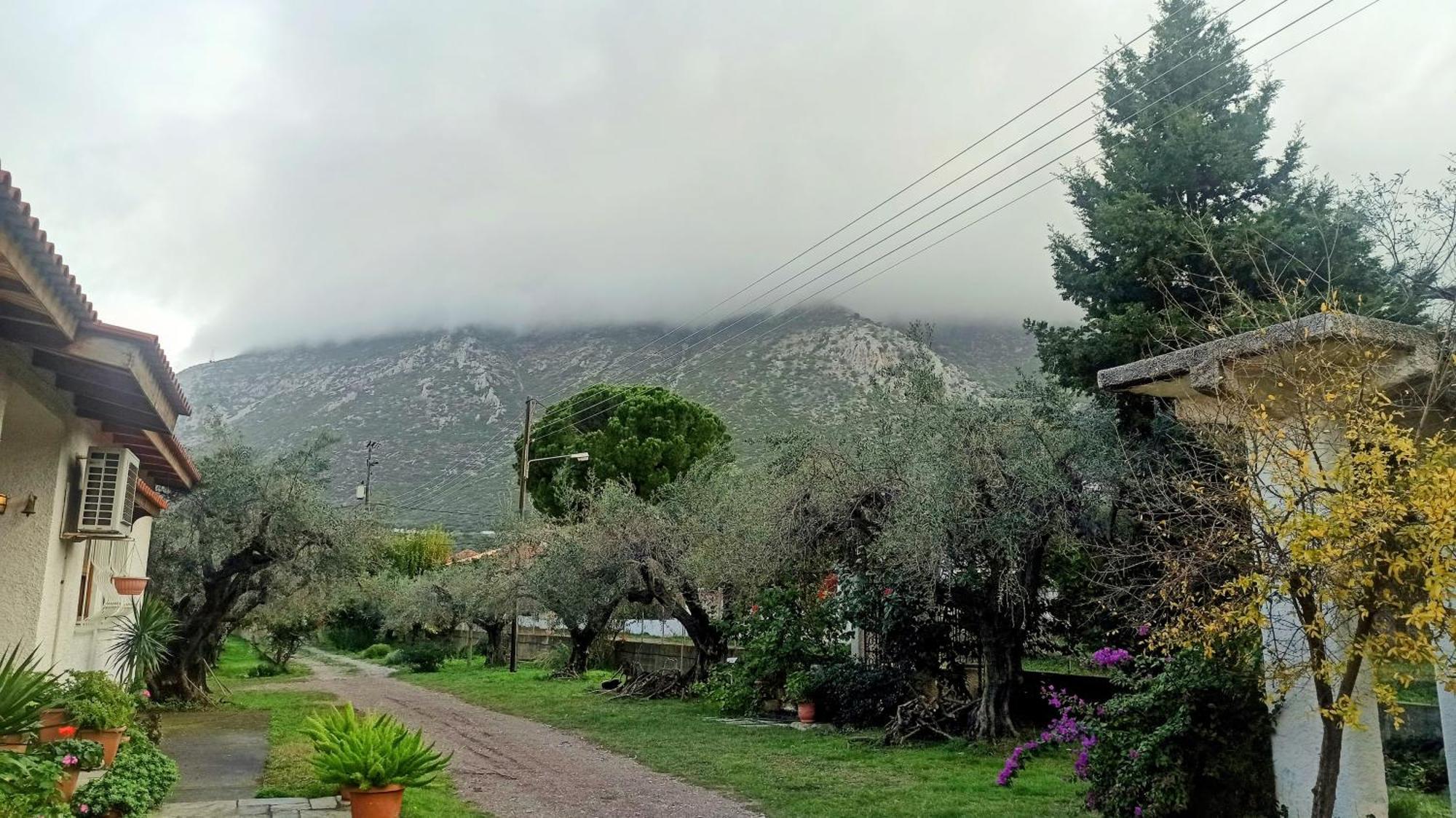Nafpaktos Cottage By The Sea For Travelers And Dreamers! Eksteriør billede