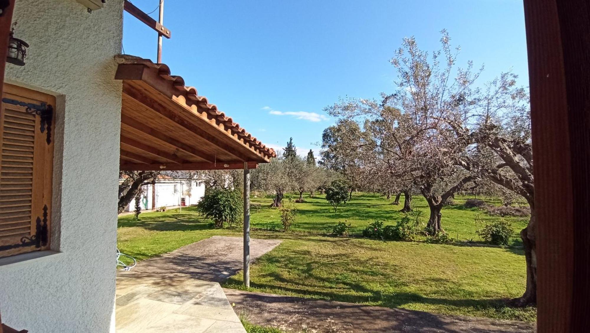Nafpaktos Cottage By The Sea For Travelers And Dreamers! Eksteriør billede