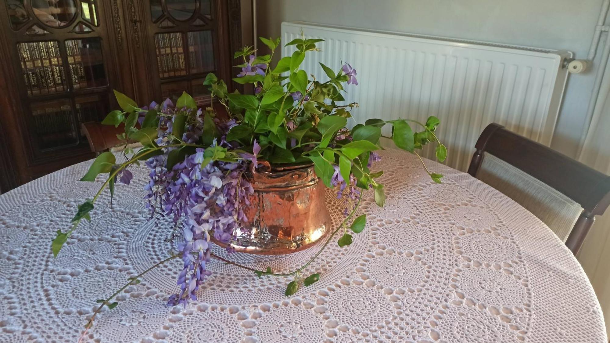 Nafpaktos Cottage By The Sea For Travelers And Dreamers! Eksteriør billede