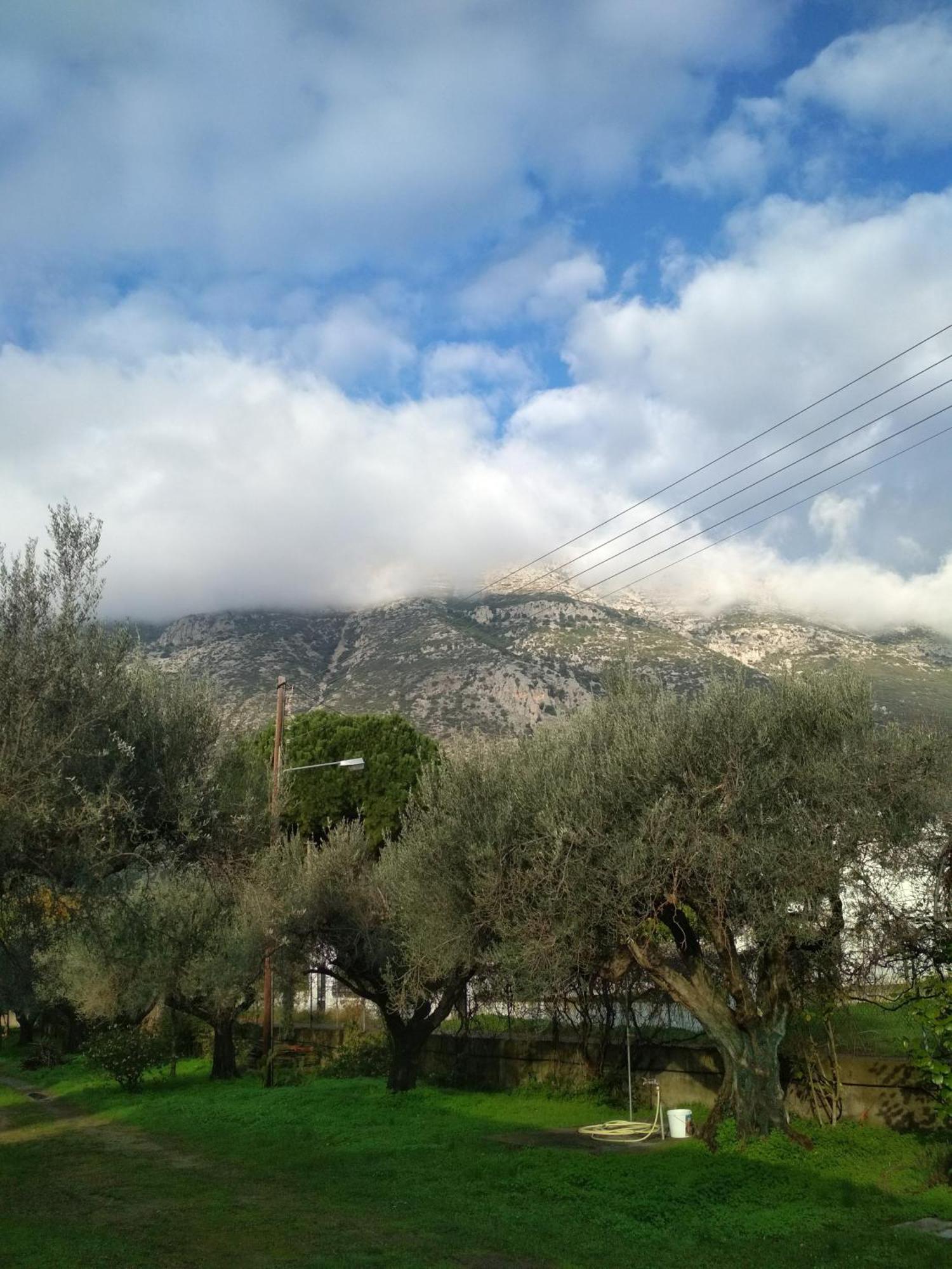 Nafpaktos Cottage By The Sea For Travelers And Dreamers! Eksteriør billede
